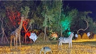 農曆新年將至 柳營區公所打造光影藝術「牛樂園」