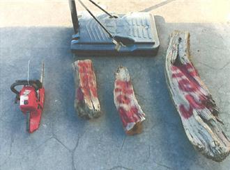 山老鼠猖獗 保七總隊破獲大安溪盜伐集團