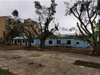 大溪仁善國小校舍拆除重建 預計2027年完工