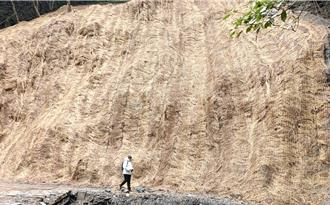 拉拉山國家森林遊樂區農曆年前修復便橋 春節全區開放