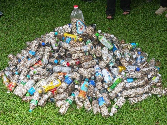 嘉义县环保局今年6月起推动菸蒂兑换现金活动，目前回收菸蒂已累积到一货柜的量，多达上千万支菸，成效十分惊人。(嘉义县政府提供／吕妍庭嘉义传真)