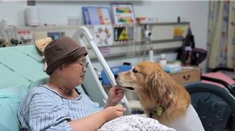 終結「瓊瑤們」的掙扎 醫推預立醫療決定助善終