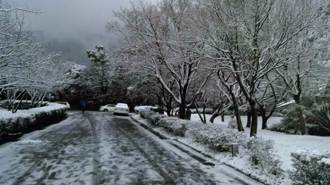 霸王寒流要來了？負北極振盪訊號出現 鄭明典揭影響時間