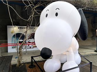 史努比、加菲貓同步快閃！免費入場拍好拍滿 實用周邊超欠買