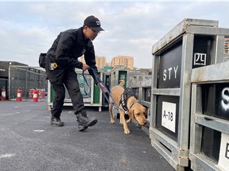 桃园高铁站前跨年晚会登场！ 桃园警犬队初登场担重任