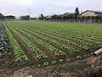 國土計畫法延期上路  內政部：深表遺憾但尊重