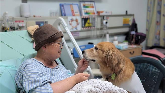 已簽署預立醫療決定的釋如意師父，住進安寧病房時，與狗醫生的溫馨互動。（中山附醫提供／馮惠宜台中傳真）