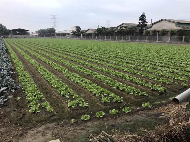 国土功能分区图作业期程再延长6年，内政部表示「深表遗憾但尊重」。(资料照片)