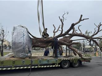 台塑落腳處雲林麥寮鄉 人口數正成長突破5萬人