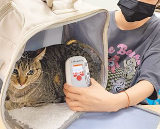 新北家貓植晶片、登記上路