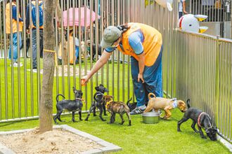 竹縣 動保條例被退 地方批中央刁難