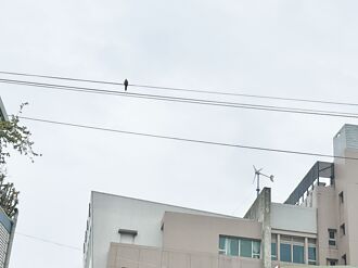 冬季空品差 國健署教3招自保