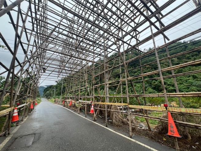 竹鹰架左右两侧各有竹桩支撑，并以多层直横交错的竹条搭建而成。（萧嘉蕙摄）