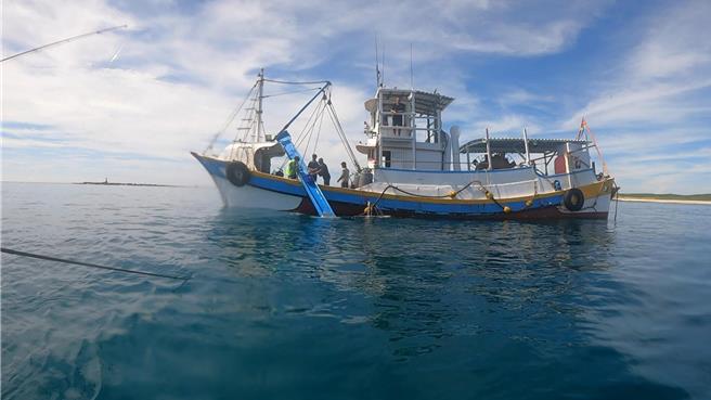澎湖县政府农渔局种苗繁殖场近年致力于澎湖海域放流鱼苗，期减缓渔业资源下滑的问题。（澎湖县政府农渔局提供／许逸民澎湖传真）