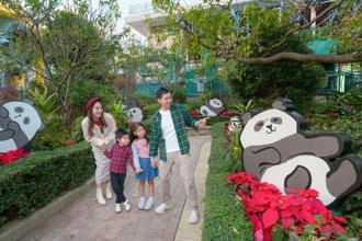 冬季玩轉香港海洋公園！推大熊貓體驗之旅 探索奇幻竹夢