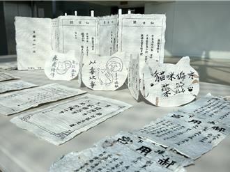 龟毛、公主病都能治？台南兴济宫「猫咪偏方药籤」超有梗