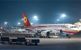 回应外航安全事故   陆强化鸟击风险防范全面排查跑道隐患