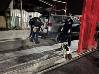 毒品分裝工廠藏身回收場 難逃史賓格緝毒犬靈敏嗅覺
