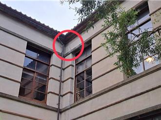 阿妹演唱會震裂松菸古蹟牆？技師公會：建物安全結構沒問題