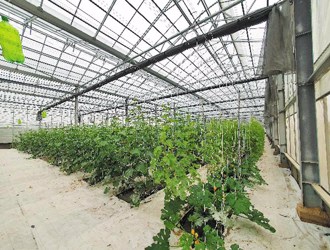 臺中農業局 開辦服務e櫃檯