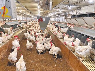 嘉縣4類畜牧場 新案受理暫停1年