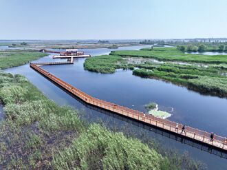 河北雄安新區 出土2件唐代龍首