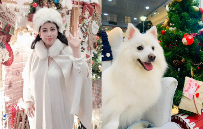 陈文茜立遗嘱动机仍心繫爱犬。（图／脸书 文茜的世界周报 Sisy's World News）