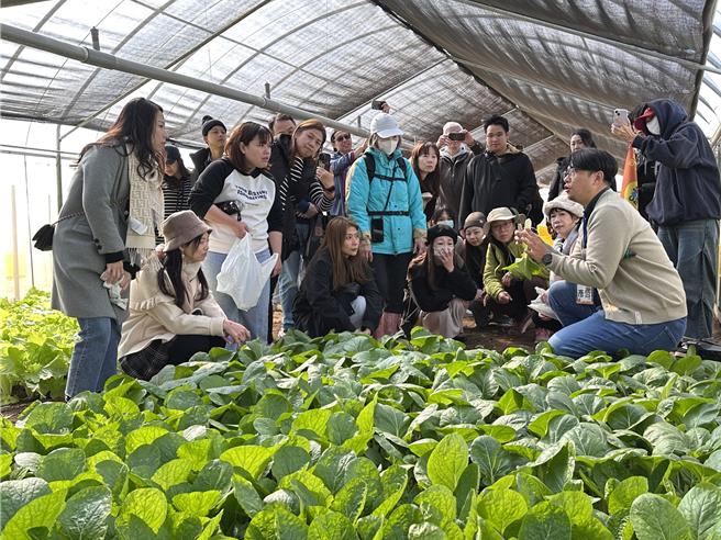 桃园市元智大学管理学院推动地方创生与绿色永续行程，展现大学在落实永续教育与社会责任上的坚持与创新。（元智大学提供／廖姮玥桃园传真）