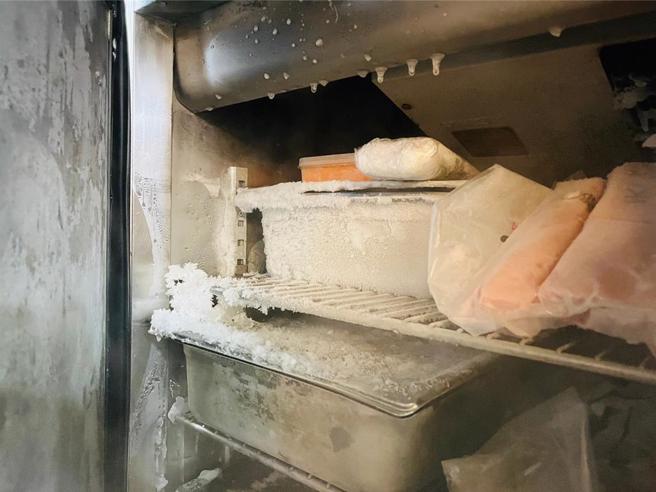 有民眾反映去年12月25日在上引水產食用鱈魚白子後身體不適。北市衛生局3日稽查發現2大缺失。(台北市衛生局提供)