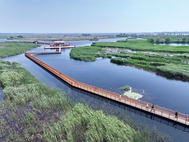 中國社會科學院考古研究所雄安考古隊在河北雄安新區古州城遺址內，發掘出土兩件罕見龍首，初步判定為唐代龍首。（新華社）