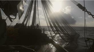 金鐘阿美族導演《遠洋人之歌》被廢標 6點聲明「全程依法」痛訴抹黑