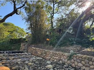 桃園社子溪上游野溪治理完工 採用友善工法兼顧生態