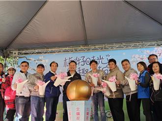 北台最大梅園開放 來桃園角板山白天尋花、夜間賞燈