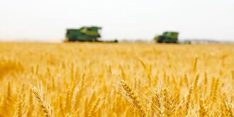 去年全球糧價 大漲6.7％