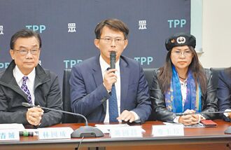 5里長遭疑有陸籍 在野轟清算鬥爭