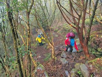 高山症發作 遭7團友放生 女獨撐3日獲救