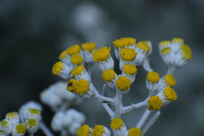 命理師指出，「小寒」節氣期間，屬鼠、牛、蛇、羊的人腸胃容易出毛病，還要慎防心血管疾病。（示意圖：Shutterstock／達志）