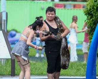 農業部擬新增955物種禁養 爬蟲協會怒批黑箱作業、踐踏生命權