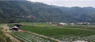 大湖草莓陷危機！339筆土地被劃入河川區 鍾東錦出手了