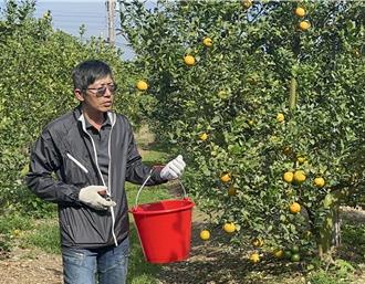 雲林帝王柑果園大火燒掉25年心血 誠邀青農接手共創未來