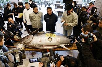 日本豐洲市場新年首拍 4142萬元黑鮪魚成1999年以來次高價