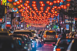 花蓮太平洋燈會 1月17日百花齊放