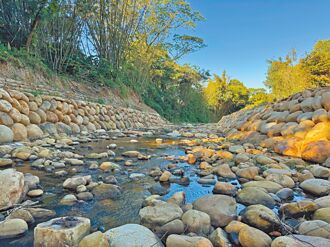 桃園 友善設計 社子溪上游整治 與生態共存