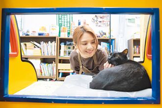 郭靜痛失愛貓 聽阿妹歌崩潰痛哭