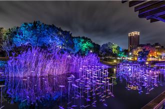 新竹縣藝文迎新春 文化盛宴點亮蛇年