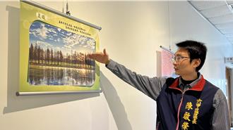 六甲落羽松季1／18開幕 區長自費辦攝影展「打頭陣」