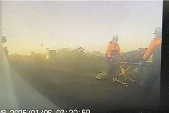 驚！屏東男晨運遭狗群狂攻 下體慘被「咬破撕裂」