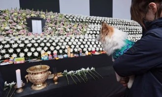 主人全家9人空難慘死 愛犬「布丁」赴靈堂緊盯牌位 令人動容