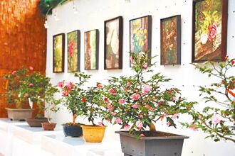 台北茶花展 來換限量禮