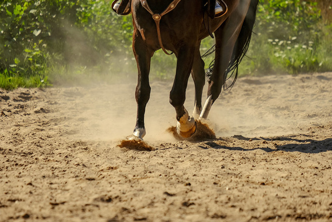 古代强盗不会冒险去劫「八百里加急」，否则恐小命不保。（示意图：Shutterstock／达志）